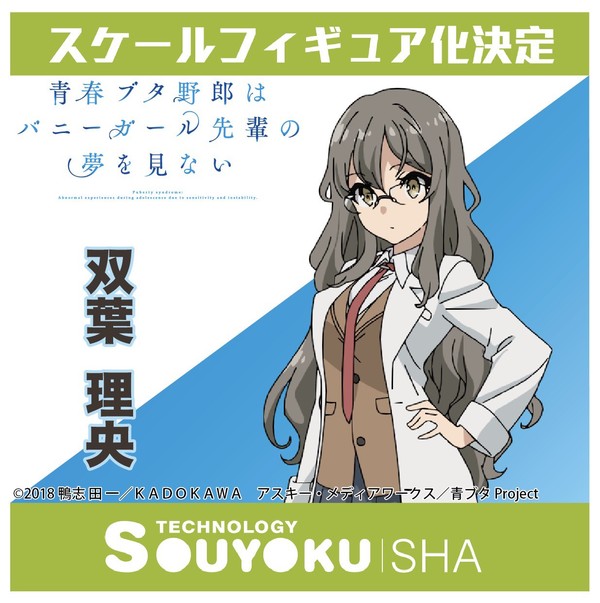 Seishun Buta Yarou wa Bunny Girl Senpai no Yume wo Minai - Futaba Rio (Wings Inc.) photo 1